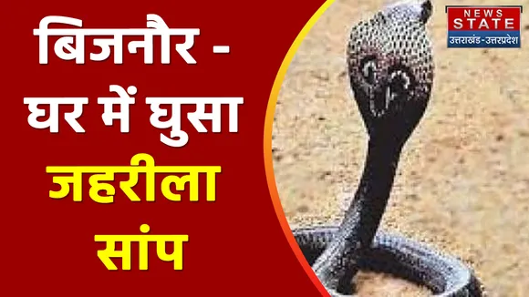 Breaking News : बिजनौर - घर में घुसा जहरीला सांप, देखें वीडियो