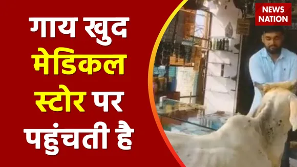 Lie Detector Test : गाय खुद करवा रही है बीमारी का इलाज ? How Cow taking Medicine From Chemist Shop | Lie Detector Test
