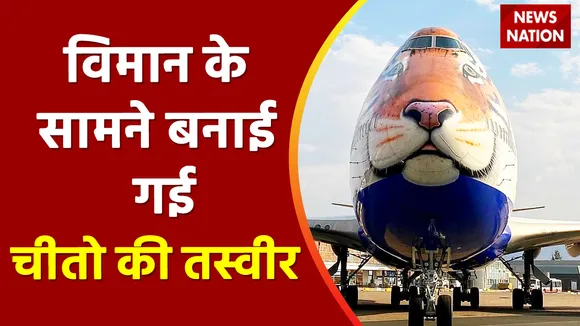 Special plane lands in Namibia to get African Cheetahs: चीतों को लाने स्पेशल प्लेन पहुंचा नामीबिया