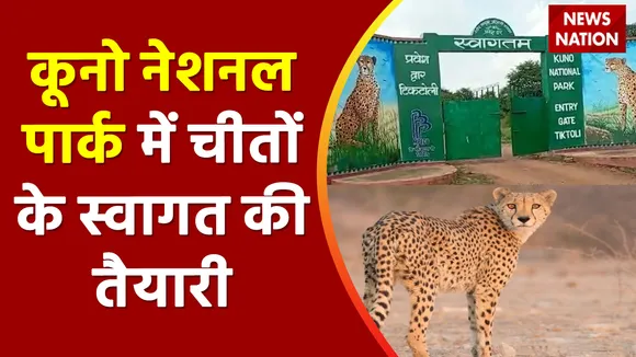 Kuno National Park: श्योपुर के कूनो नेशनल पार्क में रखे जाएंगे चीते