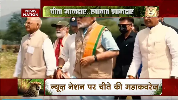 Cheetah Breaking : चीता जानदार...स्वागत शानदार  | MP News |