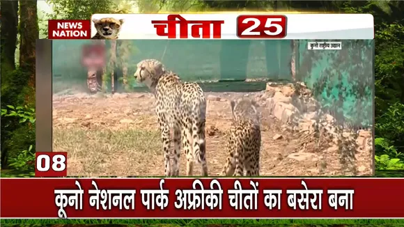 Cheetah Breaking : पीएम के जन्मदिन पर देश को बड़ी सौगात