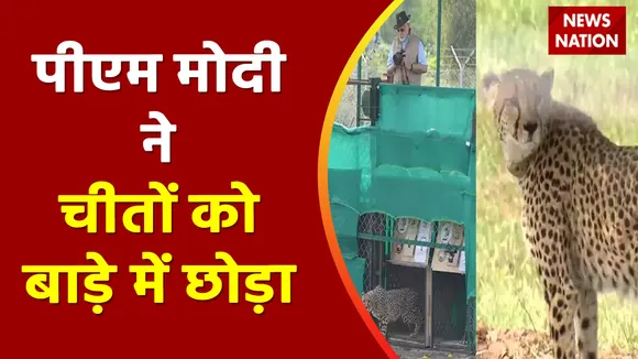Cheetah Breaking : दशकों बाद चीते भारत की धरती पर लौटे- पीएम मोदी