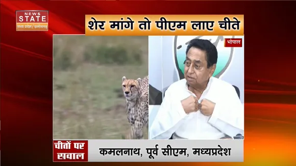 Cheetah in Madhya Pradesh: चीतों पर सियासत, Kamal Nath ने PM Modi पर बोला हमला | Cheetah in Kuno