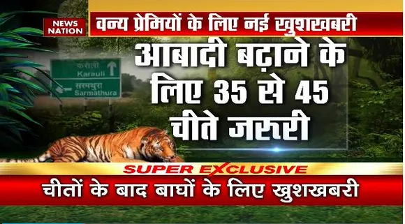 Rajasthan Breaking : Rajasthan को मिला छठा टाइगर रिजर्व | Rajasthan News |
