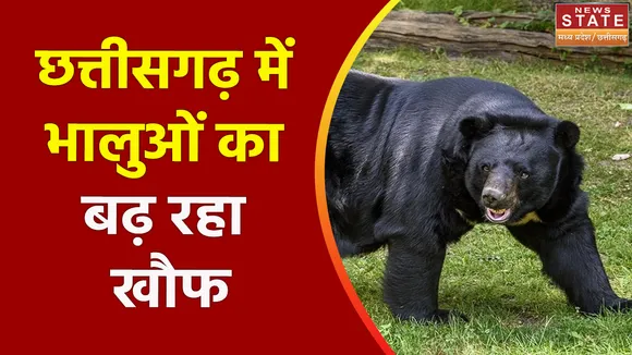 Chhattisgarh News : जंगल से शहर की ओर भालू, देखें वीडियो