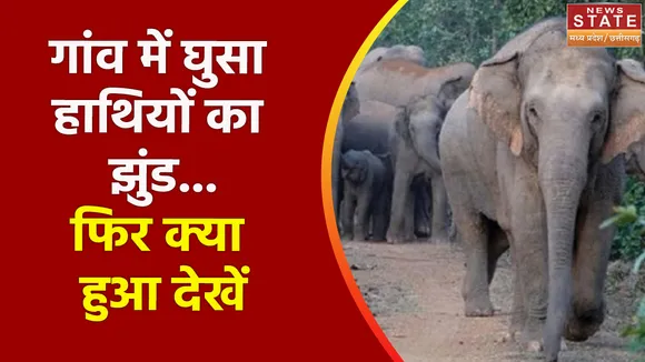 Elephant Terror : गांव में घुस रहे गजराज, हाथियों के आतंक से इंसान परेशान