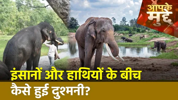 Aapke Mudde : Chhattisgarh में बढ़ रहा है हाथियों का उत्पात | Chhattisgarh News |