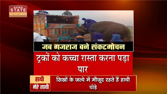 SHIVPURI ELEPHANT NEWS: हाथी ने कीचड़ से निकाले 3 ट्रक, सूंड से धक्का मारकर हाथी ने निकाला ट्रक