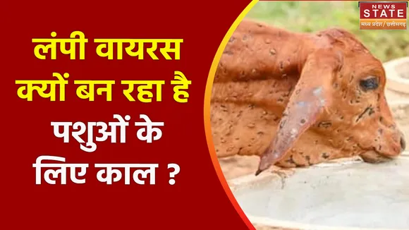Lumpy Virus : लंपी वायरस क्यों बना रहा है पशुओं के लिए 'काल', क्या हैं इसके बचाव और उपाय ?