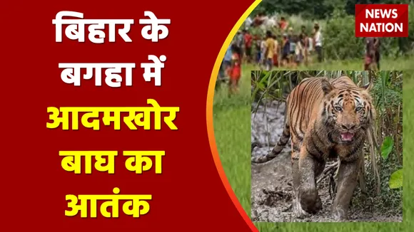 Bihar News: आदमखोर बाघ को पकड़ने में जुटी वन विभाग की टीम | Bagaha | Threat to humans | Bihar