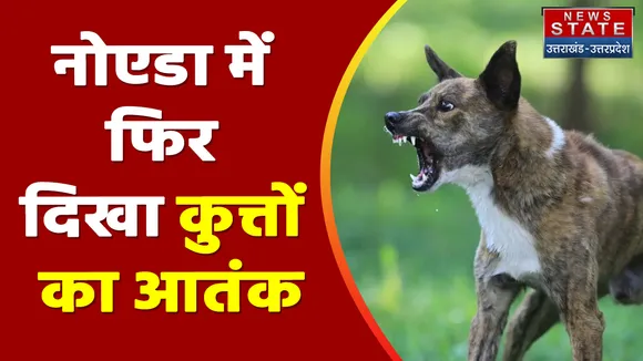Noida News: दो महिलाओं पर कुत्तों ने किया हमला