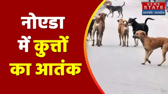 Noida: नोएडा में दो महिलाओं पर कहर बनकर टूटा कुत्ता, हालत देख सिहर जाएंगे आप | Stray Dog attack on women