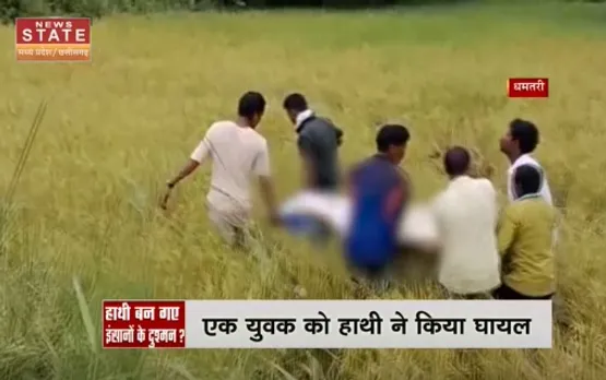 Elephant Attack Dhamtari : Dhamtari में हाथियों के झुंड ने युवकों को पहले दौड़ाया, फिर कुचल कर मारा