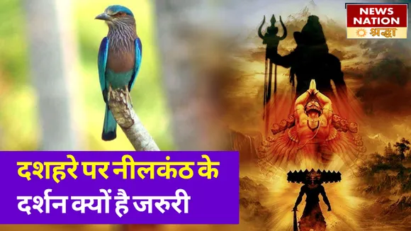 दशहरे पर नीलकंठ के दर्शन से जाग उठेगा भाग्य, सुख-समृद्धि का होगा वास