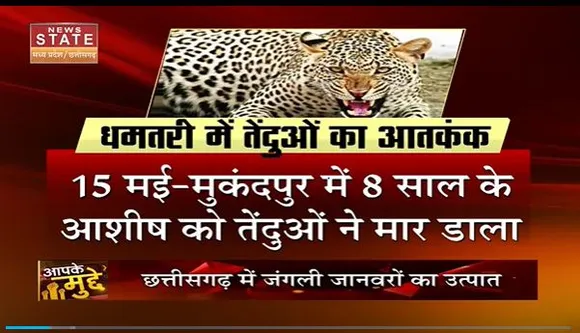 Aapke Mudde : Chhattisgarh में आदमखोर तेंदुओं  का आतंक | Chhattisgarh News |