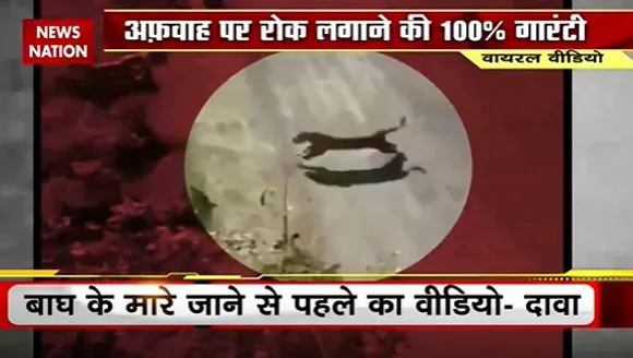 Lie Detector Test : आदमखोर बाघ के Live अटैक का सच | man-eating tiger |