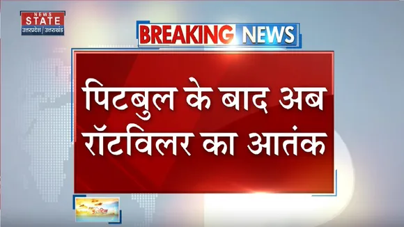 Kanpur News: कानपुर में रॉटविलर कुत्ते का आतंक, स्कूल जा रहे बच्चे का पैर चबाया