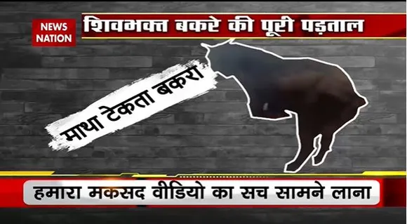 Lie Detector Test : क्या है Kanpur के शिवभक्त बकरे का सच | Devotee Goat |