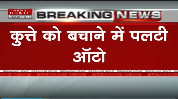 Bihar Breaking : Banka में सड़क हादसे में बच्चे की मौत.. कुत्ते को बचाने में पलटी ऑटो | Bihar News |
