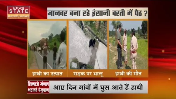 Chhattisgarh News : Chhattisgarh के कई जिलों में हाथियों की दहशत | Elephant Terror |