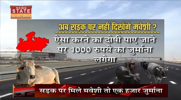 MP News: सड़क पर मिले मवेशी तो एक हजार जुर्माना