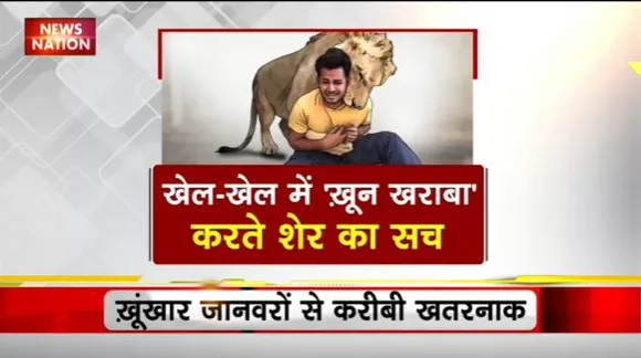 Lie Detector Test : क्या है खेल-खेल में ख़ून खराबा करते शेर का सच? | Playing with lion |