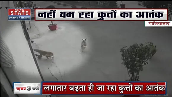 Dog Attack News: गाजियाबाद में कुत्ते ने बच्ची पर किया हमला, CCTV में कैद हुई घटना। Uttar Pradesh