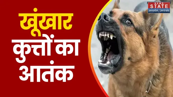 Uttarakhand News: सीतापुर में खूंखार कुत्तों का आतंक जारी है, हमले से 20 से ज्यादा लोग हुए घायल। UK