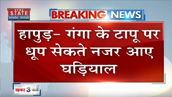 Hapur News: गंगा के टापू पर धूप सेंकते नजर आए घड़ियाल