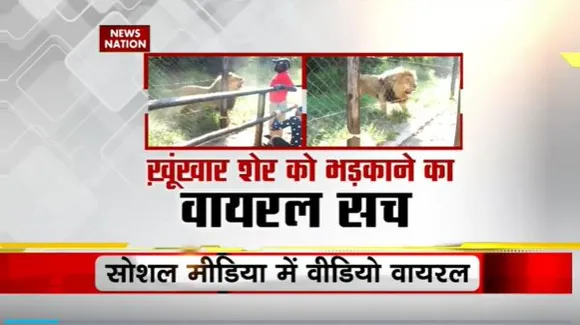 Lie Detector Test : क्या है खूंखार शेर को भड़काने का वायरल सच? | provoking the dreaded lion |