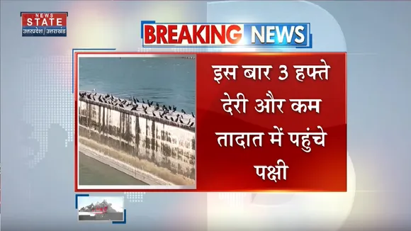 Haridwar News: हजारों किलोमीटर की यात्रा करके हरिद्वार पहुंचे साइबेरियन पक्षी