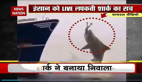 Lie Detector Test : क्या है इंसान को Live लपकती शार्क का सच? |shark catching human |