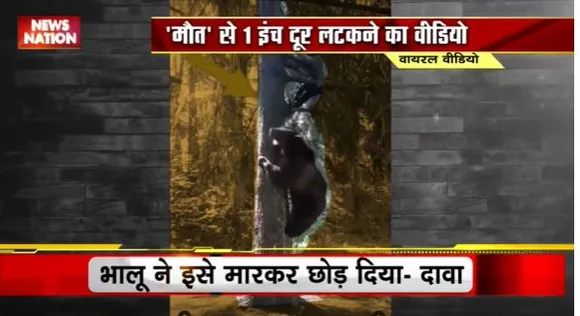 Lie Detector Test : क्या है इंसान को खीचते भालू का वायरल सच? | bear pulling human |