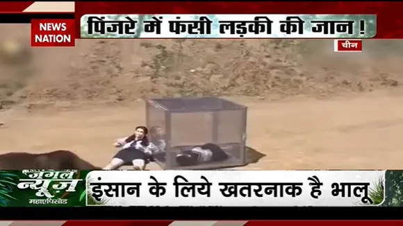 JUNGLE NEWS : इंसान के लिए खतरनाक है भालू
