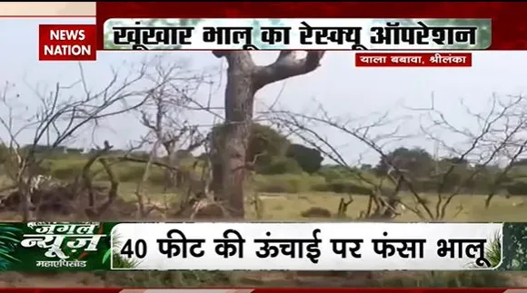 JUNGLE NEWS : 40 फिट की ऊंचाई पर फंसा भालू