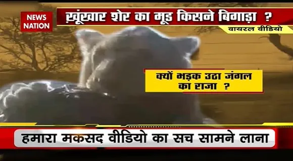 Lie Detector Test : क्या है दौड़ती पर कहर ढाते शेर का सच? | lion wreaking havoc |