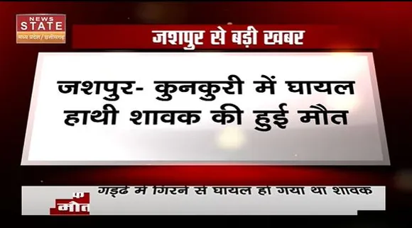 Chhattisgarh News : Jashpur में घायल हाथी शावक की हुई मौत | Jashpur News |