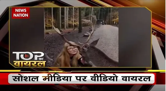 Viral Videos : देखिए सोशल मीडिया पर वायरल वीडियो का Countdown | Top viral video |