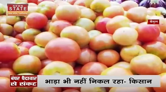 Madhya Pradesh : टमाटर की बंपर पैदावार से संकट