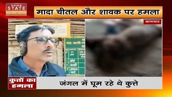 Balaghat News : मादा चीतल और शावक की मौत।