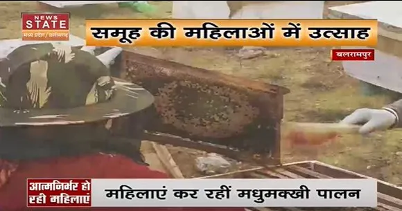 Chhattisgarh News : बलरामपुर में आत्मनिर्भर हो रही महिलाएं, कर रही मधुमक्खी पालन...