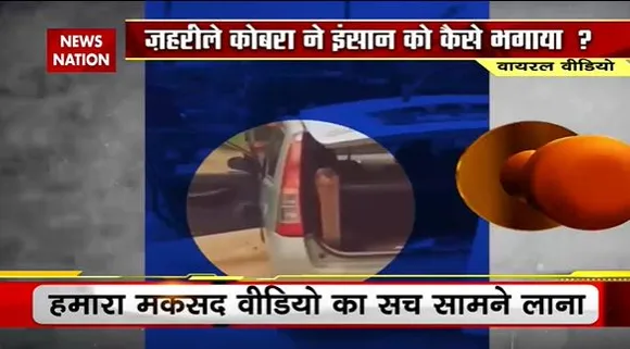 LIE DETECTOR TEST : कार पर कब्जा करते किंग कोबरा का सच...