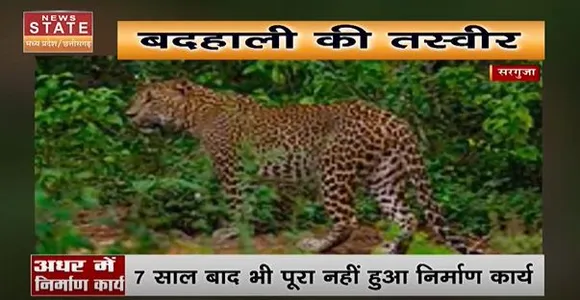 Chhattisgarh News | सरगुजा में जान जोखिम में डालकर नदी पार कर रहे लोग..