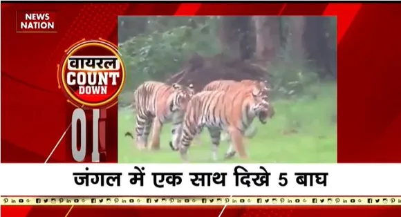VIRAL COUNTDOWN : सोशल मीडिया पर वायरल वीडियो का COUNTDOWN