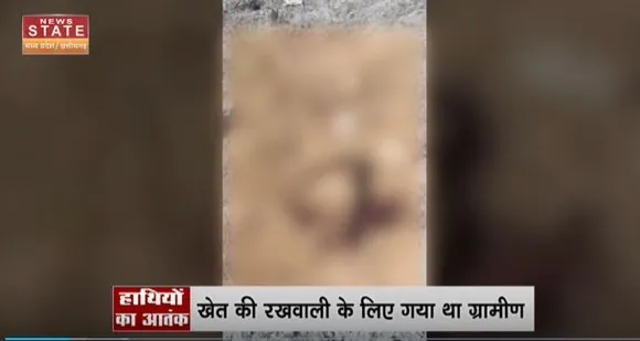 Chhattisgarh News : गरियाबंद में ग्रामीण को हाथियों के दल ने कुचला
