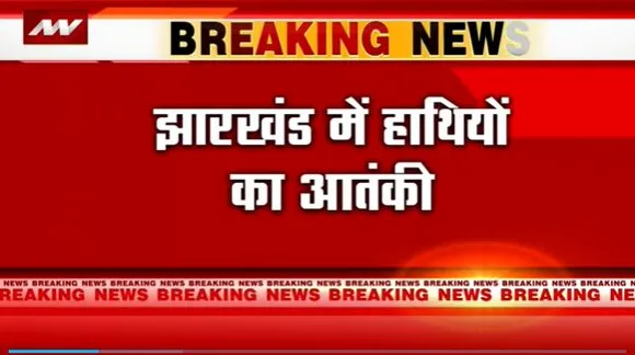 Jharkhand Breaking : Ranchi में हाथियों ने 5 लोगों को कुचला