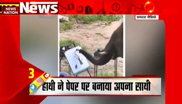 Viral Videos : सोशल मीडिया पर Trending News