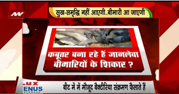 Rashtramev Jayate : कबूतरों से हो रही है जानलेवा बीमारी