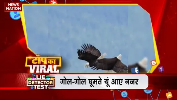 TOP KA VIRAL : सोशल मीडिया पर TOP KA VIRAL
